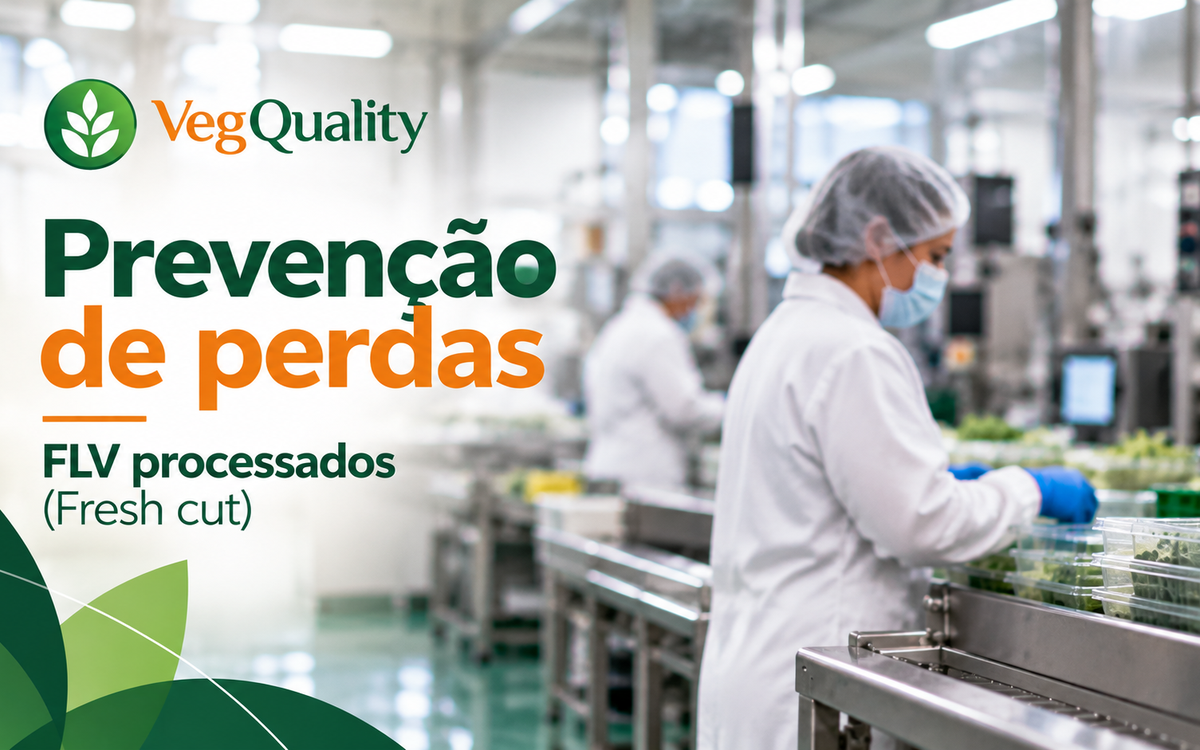 FLV Processados (Fresh-Cut): Como Reduzir Perdas e Prolongar a Vida Útil