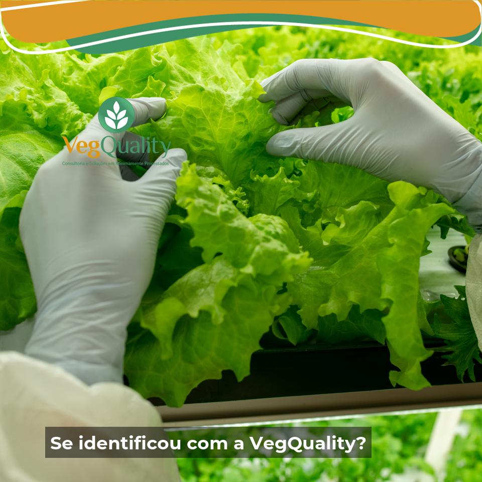 vegquality